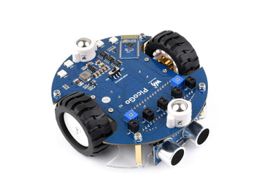 Pico2Go Mobile Robot, Based On RP2350-Plus, Self Driving, Remote Control, Includes RP2350-Plus Control Board