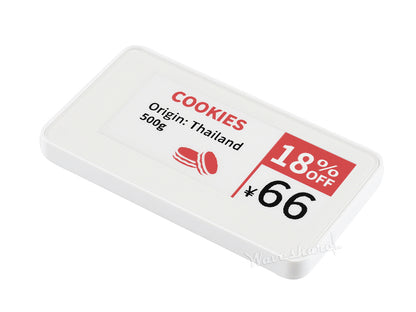 2.9inch e-Paper Raw Panel Case