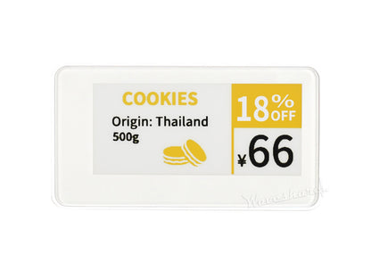 2.9inch e-Paper Raw Panel Case