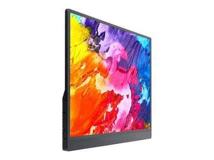 15.6inch Monitor with Stand, Thin and Light Design, IPS screen, 1920 × 1080 Full HD, 100%sRGB High Color Gamut